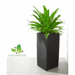 3 Ivolador Terrarium Blumenkbel Fr Hydrokulturpflanzen